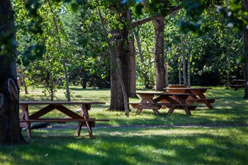 tillebrook-provincial-park-ab