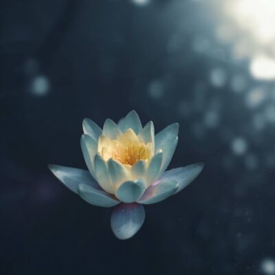 Yoga In Brooks Feature Image
