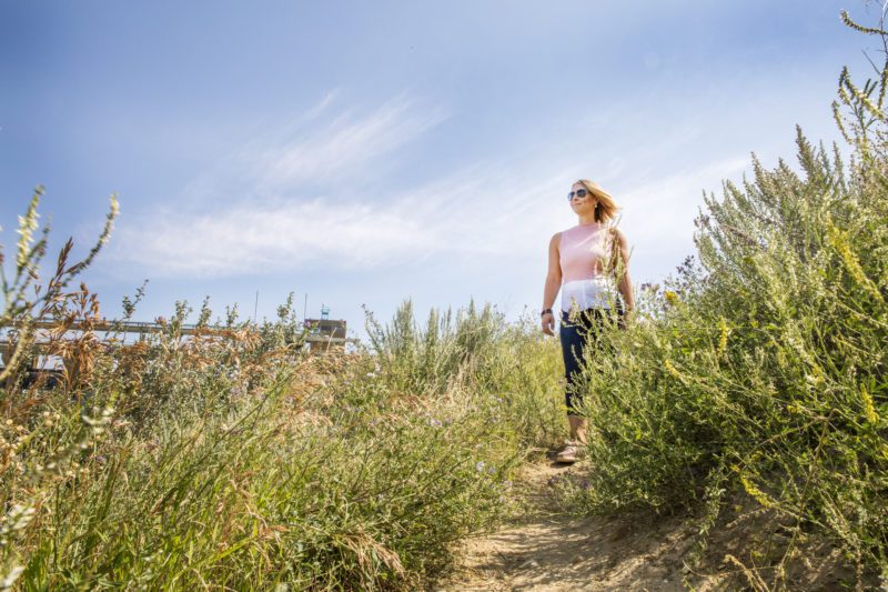 Featured image for “Bassano Dam”
