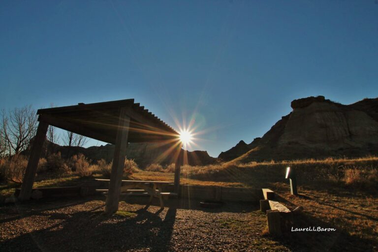 Dinosaur Provincial Park Laurie Baron 768x512
