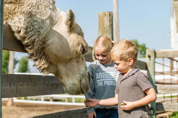 Featured image for “Brooks Region Tourism Shares Update and Ongoing Support”