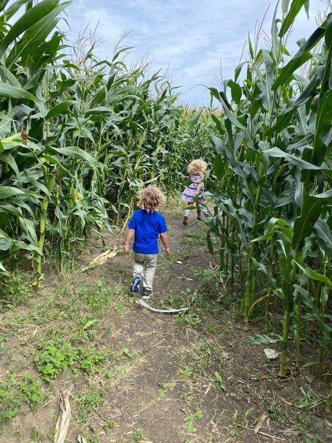 Featured image for “Brooks Corn Maze”