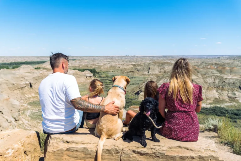 Pet Friendly Photos 2 of 2 1 768x512