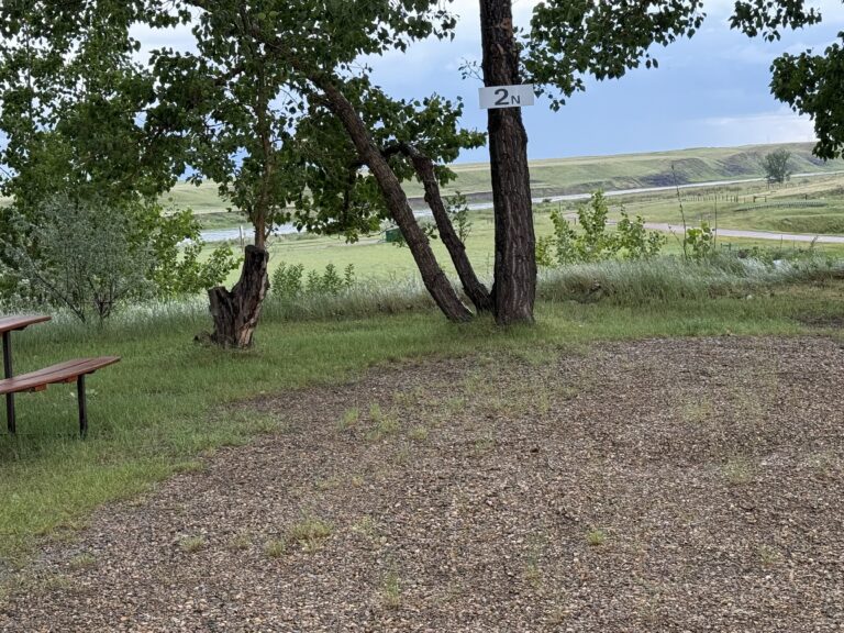 IMG 1582 768x576